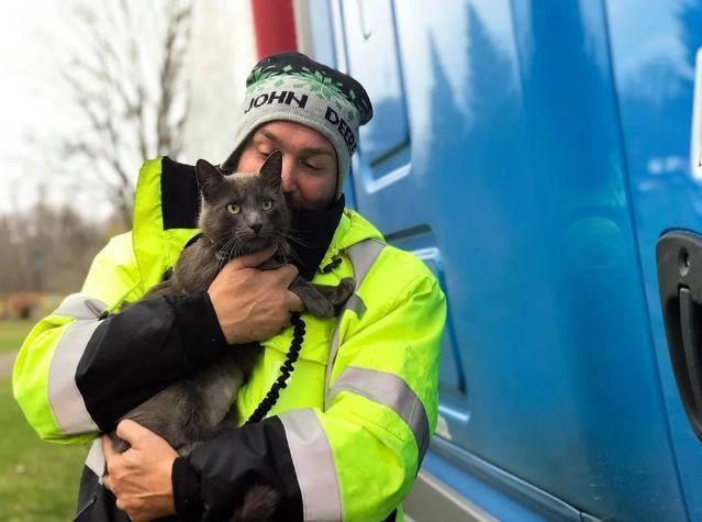 一直在原地等待重逢时主人抱着猫咪大哭……j9九游真人游戏第一品牌猫咪走丢15个月(图2)