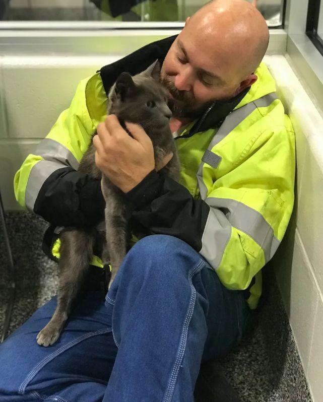 一直在原地等待重逢时主人抱着猫咪大哭……j9九游真人游戏第一品牌猫咪走丢15个月(图4)