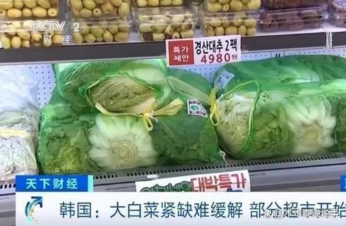 限购断货疯狂进口中国大白菜j9平台韩国泡菜价格猛涨